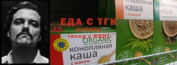 гашик Арсеньев