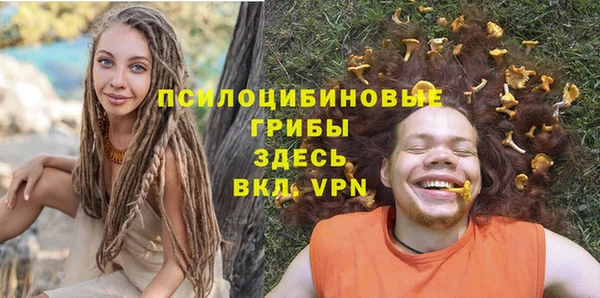 МДПВ Армянск