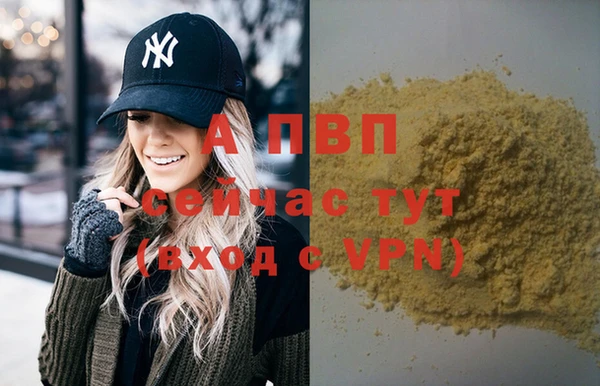 гашик Арсеньев