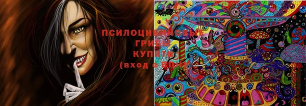прущая мука Аркадак