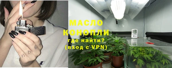 гашик Арсеньев