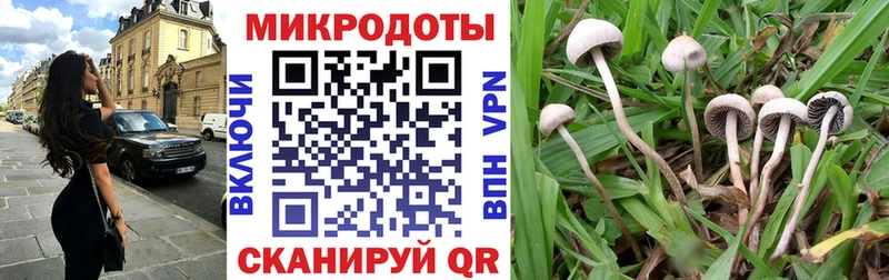 где можно купить наркотик  Терек  Галлюциногенные грибы GOLDEN TEACHER 